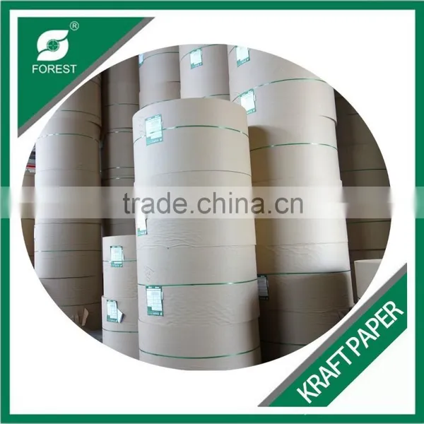 FOOD GRADE COATED KRAFT PAPER 250-350GSM photo-5