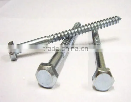 Ningbo WeiFeng High Quality Many Kinds of Fasteners Anchor, Screw, Washer, Nut ,bolt Brass Wood Screws photo-3