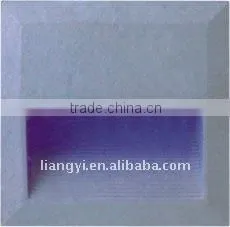 Outdoor Step Light