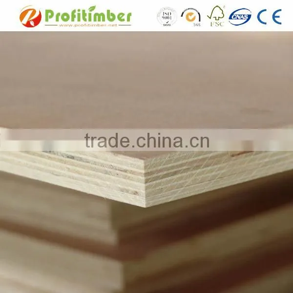 China Softwood Full Poplar Plywood Price photo-6