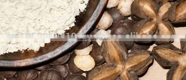SACHA INCHI FLOUR/POWDER