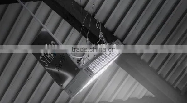 600 Watt Led Stadium Floodlights photo-3