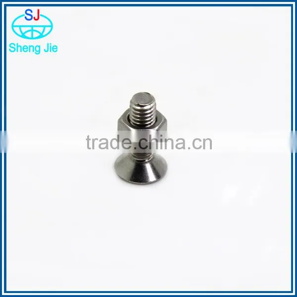 China Hex Head Hex Bolt Stainless Steel Hex Bolt and Nuts