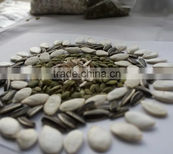 Grade A Pumpkin Seeds for Snacks photo-4