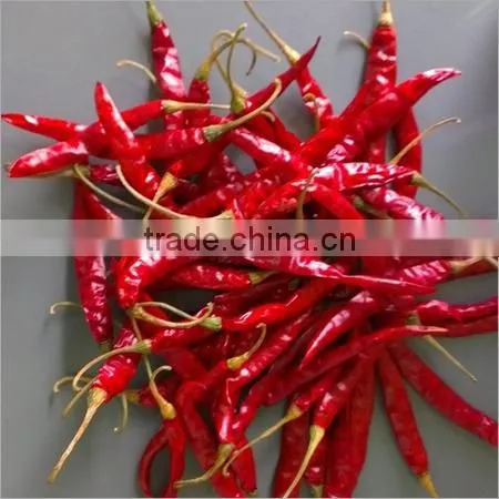 Premium Quality Indian Dry Red Chilli Exporters photo-4