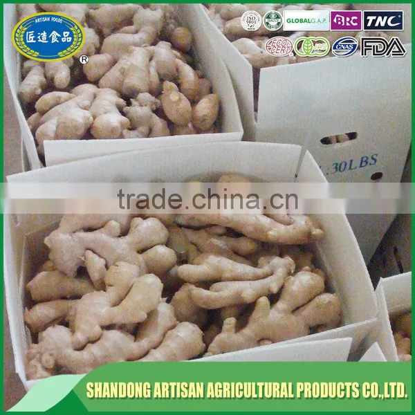 New Crop Buyer of Dry Ginger photo-4