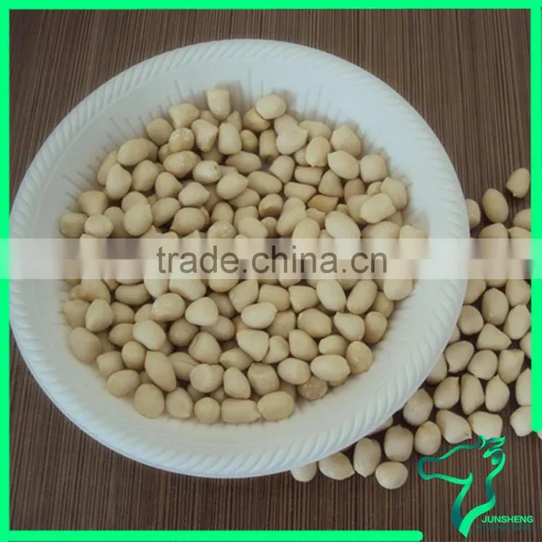 New Crop Blanched Peanut Kernels photo-3