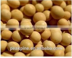 Soy Protein Isolate Shansong 90