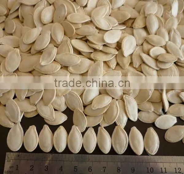 White Pumkin Seeds Shine Skin for Southeast Market photo-2