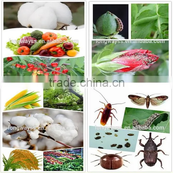 Longways Bed Bug Pesticide Cypermethrin 95%TC Control of Agricultural Pests