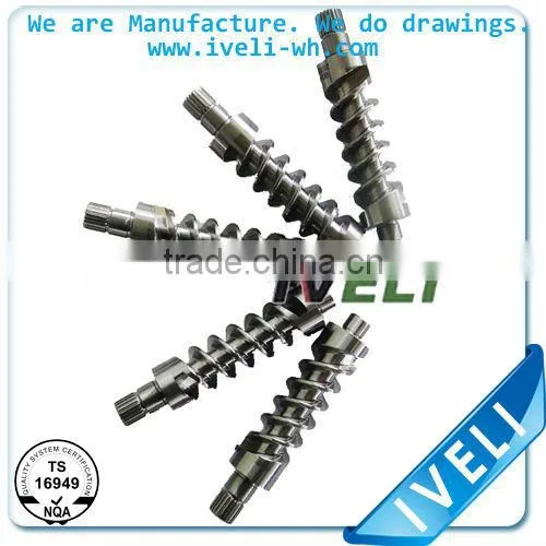 Worm Screw Thread Shaft Made in China Anhui Wuhu
