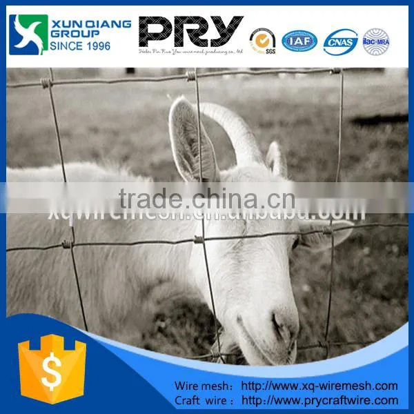 High Strength Galvanized Steel Deer Fence/farm Fence/fixed Knot Fence (15 Years Warranty) photo-5