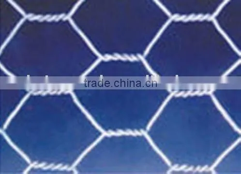 Hexagonal wire netting/20*20mm hex netting/pvc wire netting