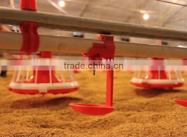 Automatic Chicken Feeding System From China Manufacturer/silo Feeding System photo-4
