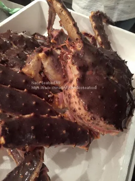 Norwegian Red King Crab, King Crab Legs With Clusters,Live Red King Crab Mud Crab, Live Dungeness Crab photo-4