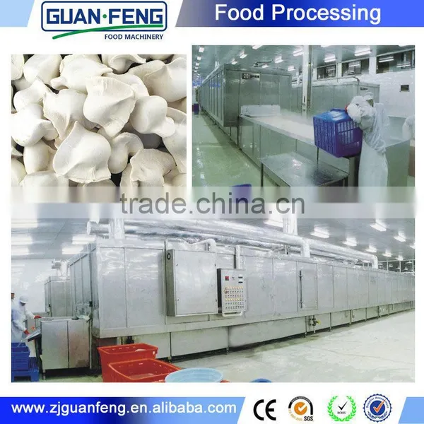 Food Processing Machinery Fast Freezing Machine Tunnel Freezer photo-5