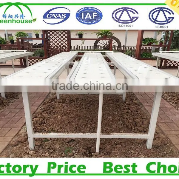 Hydroponic Systems Greenhouse for Agriculture photo-6