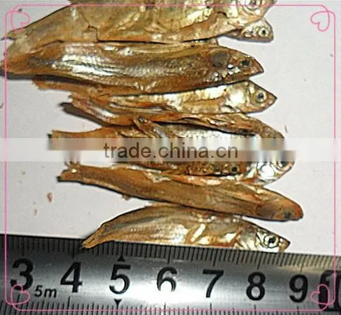 FDA Certification Passed Factory Price Dried Fish;Freeze Dried Fish for Pet (turtle;lizard) photo-3