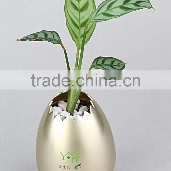 Hanging Flower Pot,flower Pot Stand,plastic Planter photo-3
