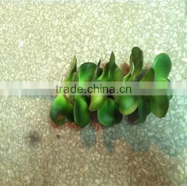60cm or 24inches Height Artificial Small pe Grass for Green Wall E04 1019 photo-5