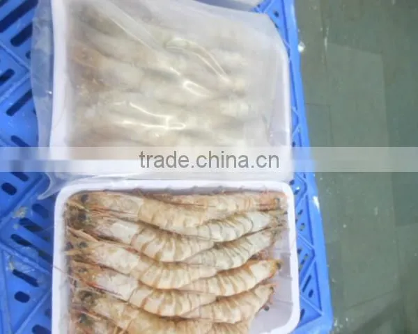 HOSO Sea White Shrimps - Penaeus Indicus photo-3