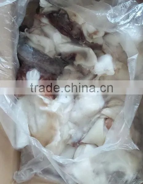 Frozen Giant Squid Neck photo-3
