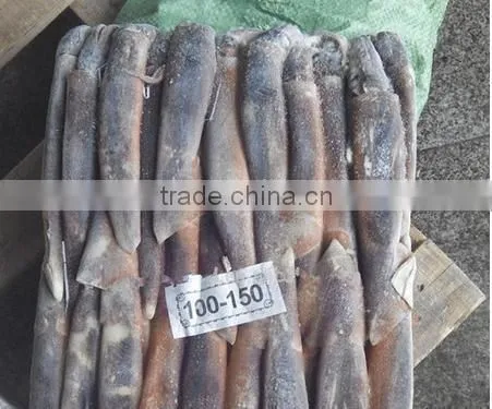 Good Quality Frozen Illex Argentinus Squid photo-2