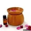Electric Oil Burner