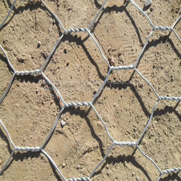 Hexagonal Wire Mesh photo-5