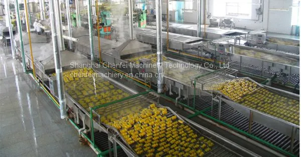 Canned fruit processing line