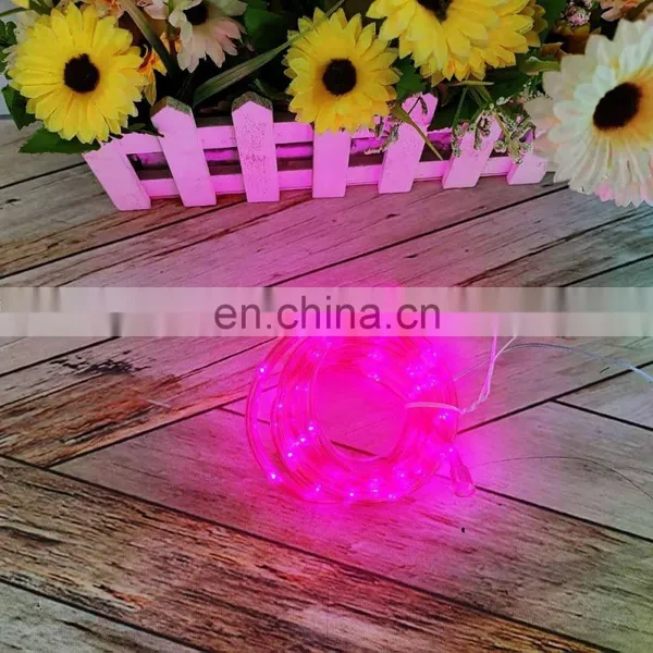 Hot Sales Holiday Decorative 2M Transparent Tube 20L Copper Wire String Lights For Outdoor Decoration photo-3