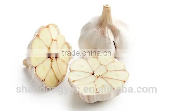 The Best Vegetable Product From China Fresh Garlic photo-2