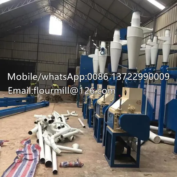 Maize Milling Machine Automatic 30TPD Grain Flour Milling Machine With Best Price photo-2