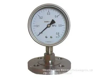 Stainless Steel Sanitary Flange Welded Clamped Pressure Gauge Piezometer DIN SMS ISO