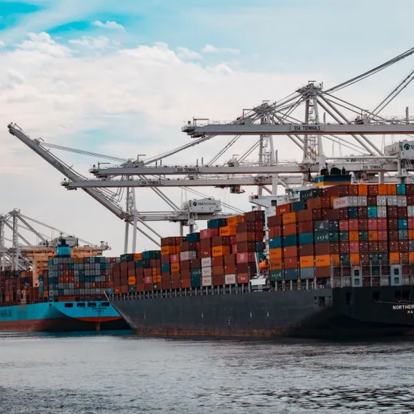Expédition internationale y compris le fret maritime, le chargement en conteneur complet (FCL) ou en groupes de colis (LCL), livraison DDP, livraison par air et service de livraison express