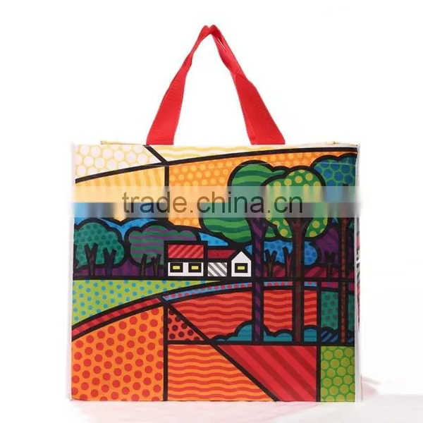 Best Sales in Russian Cut Boy Design Plastic Bag for Shopping photo-5