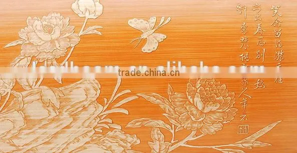 CO2 Laser Plotter/Cutting/Emgraving Machine photo-6