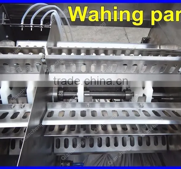 ODM Supplier Liquid Filling Machine,120ml Syrup Filling Machine Factory photo-4