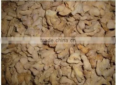 Factory Wholesale Dry Ginger With High Quality photo-3