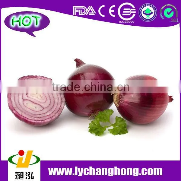 Fresh Red Onion