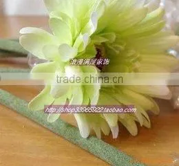 Types of Fresh Cut Flowers Gerbera Flower Fresh Cut Flowers
