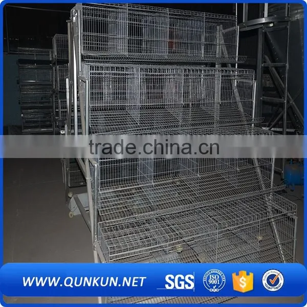 Electrical Tools Equipment Chicken Cage photo-6