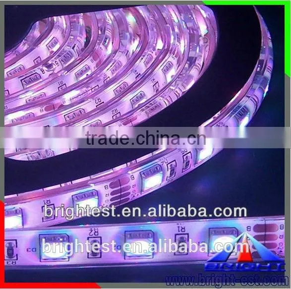 High Lumen 12v SMD 5050 Dual White ( Pure White + Warm White ) LED Strip Light photo-5