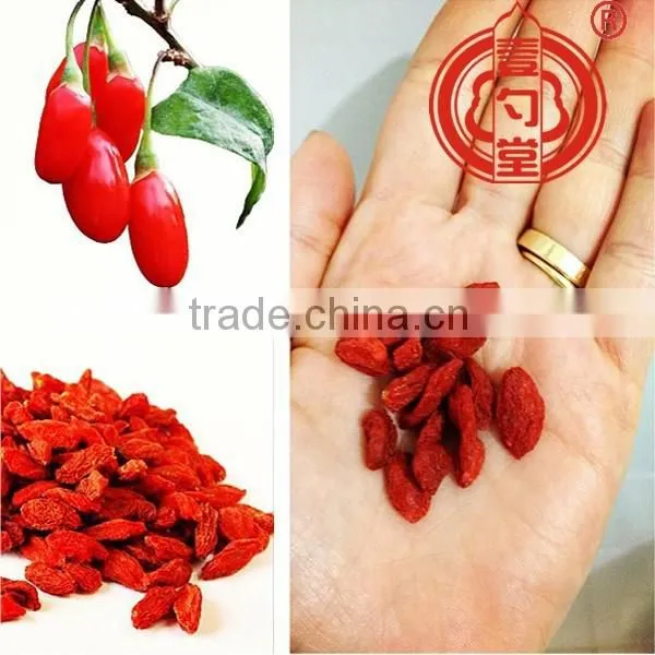 Medicinal Edible Healthy Goji Berries Fruit Ningxia Medlar Dried Gou Qi Zi Boxthorn Fruit photo-2