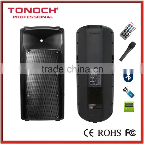 Dual 15 Inch Loudspeaker 600 Watt