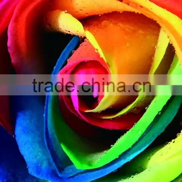 All Ink Printable Inkjet Media Front Printing Backlit Film