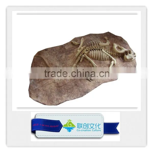 Make Dinosaur Bones Manufacturer in China photo-4