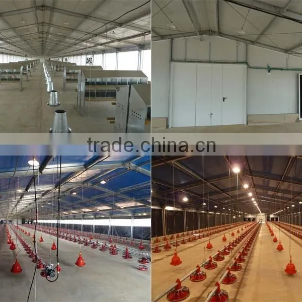 Prefabricated Poultry Farm Chicken House photo-5
