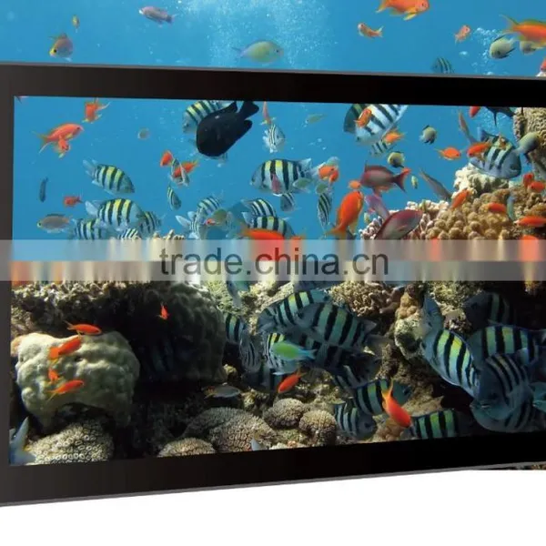 18.5inch 1080p Digital Photo Frame