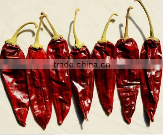 American Red Chilli New Crop Export Hot With or Without Stem photo-3